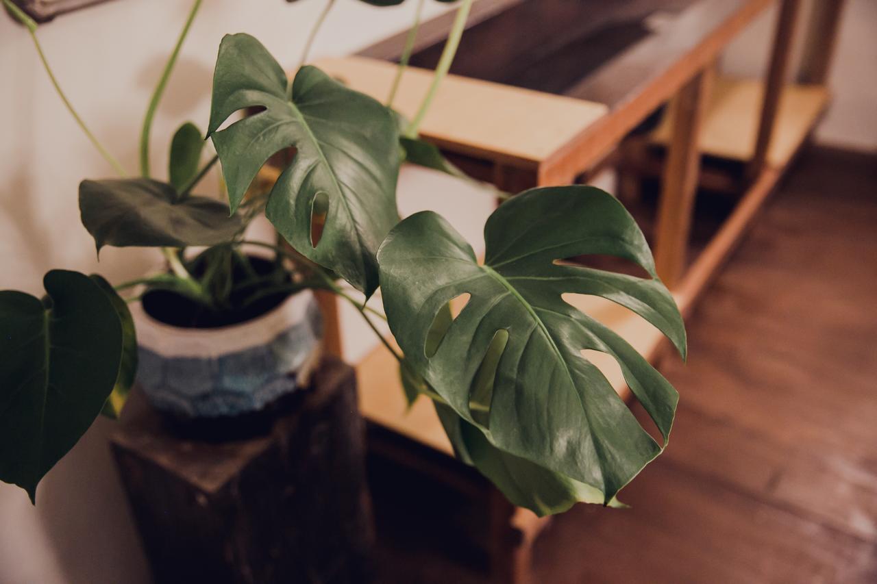 Ostello Altrove House 自在他方 Heng-ch'un Esterno foto